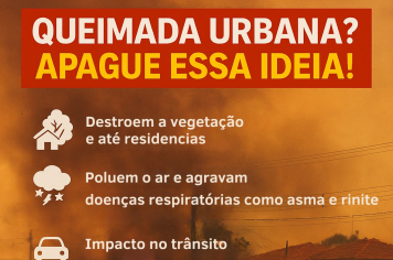 QUEIMADA URBANA? APAGUE ESSA IDEIA! 