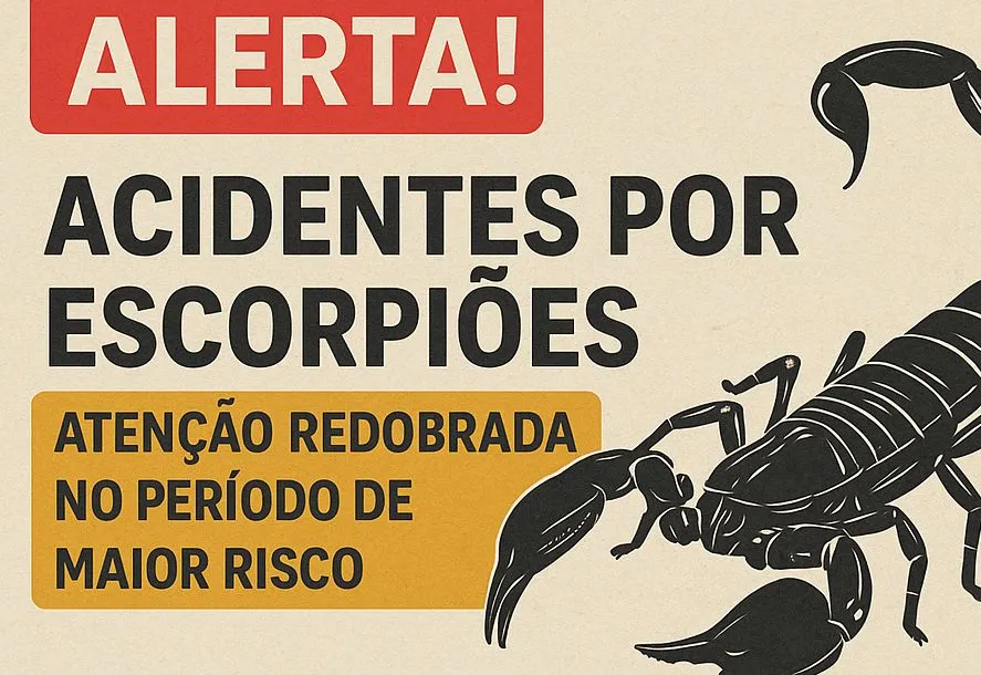 Alerta! Acidentes por Escorpiões: atenção redobrada no período de maior risco 