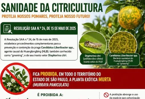 Sanidade da citricultura: Prefeitura de Duartina alerta sobre proibição da planta murta no estado de São Paulo